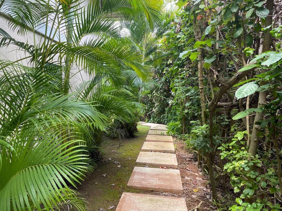 Ideal Coconut Coast * Kapa'a