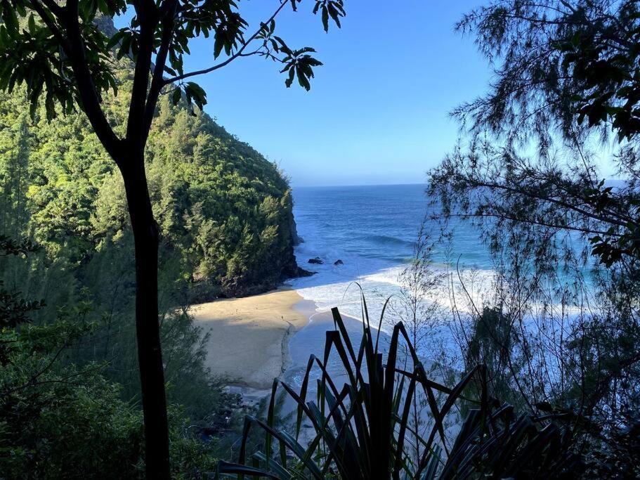 Ideal Coconut Coast Apartamento
