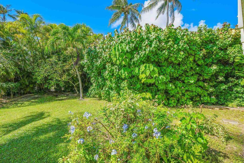 Ideal Coconut Coast